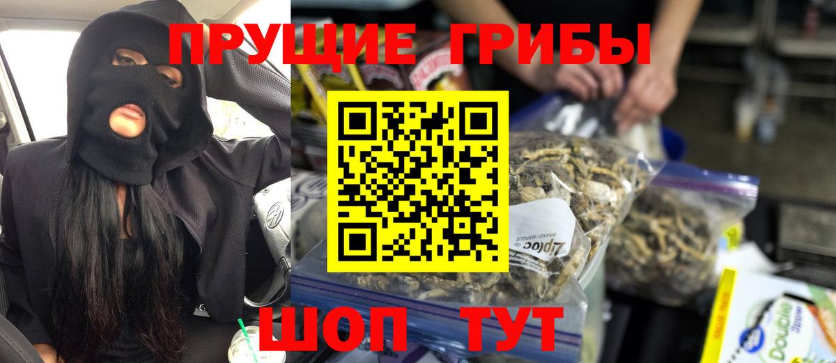 Галлюциногенные грибы GOLDEN TEACHER  Галлюциногенные грибы Psilocybine cubensis  Вход с VPN  Ноябрьск 